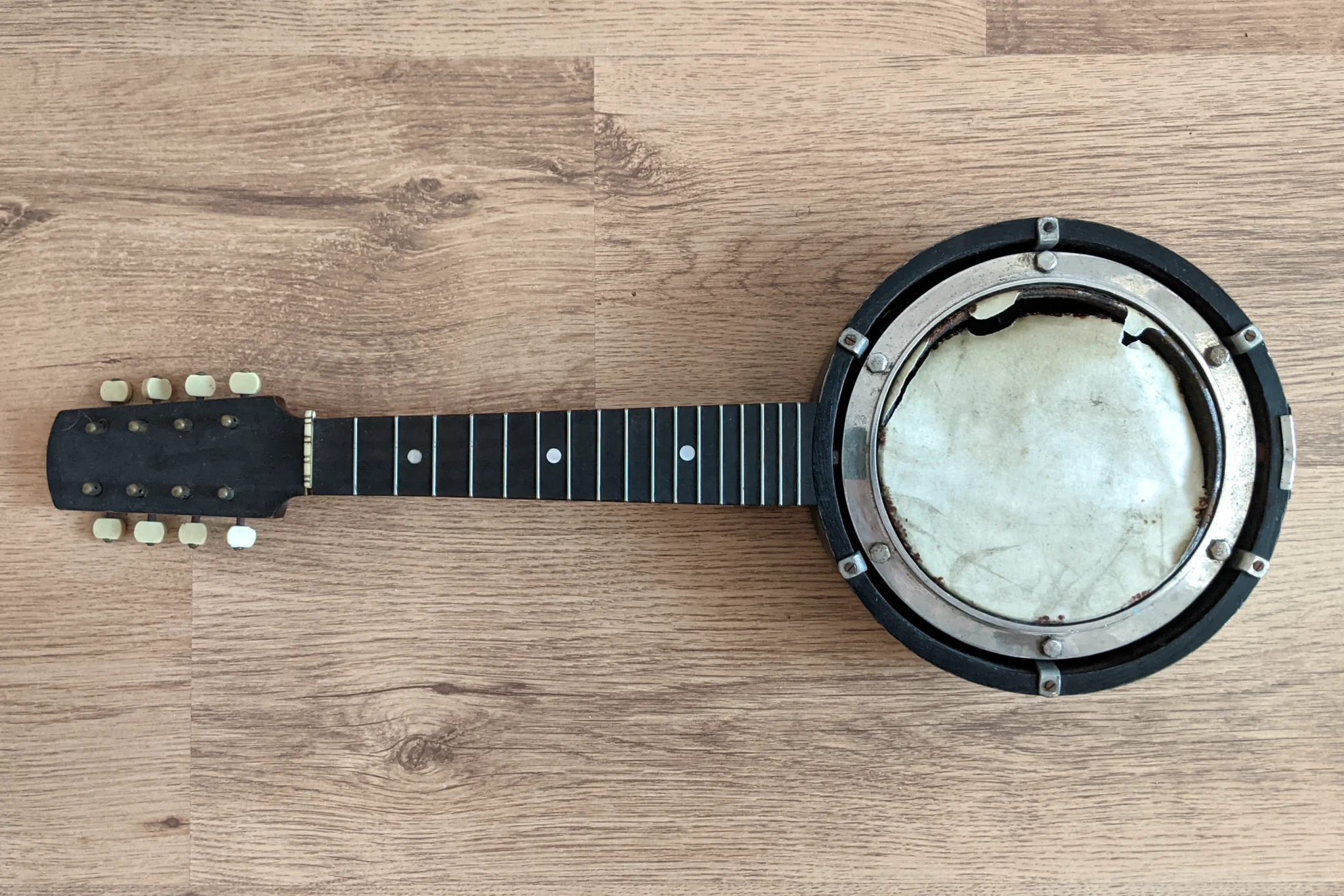 An antique mandolin-banjo in a bit of a sorry state