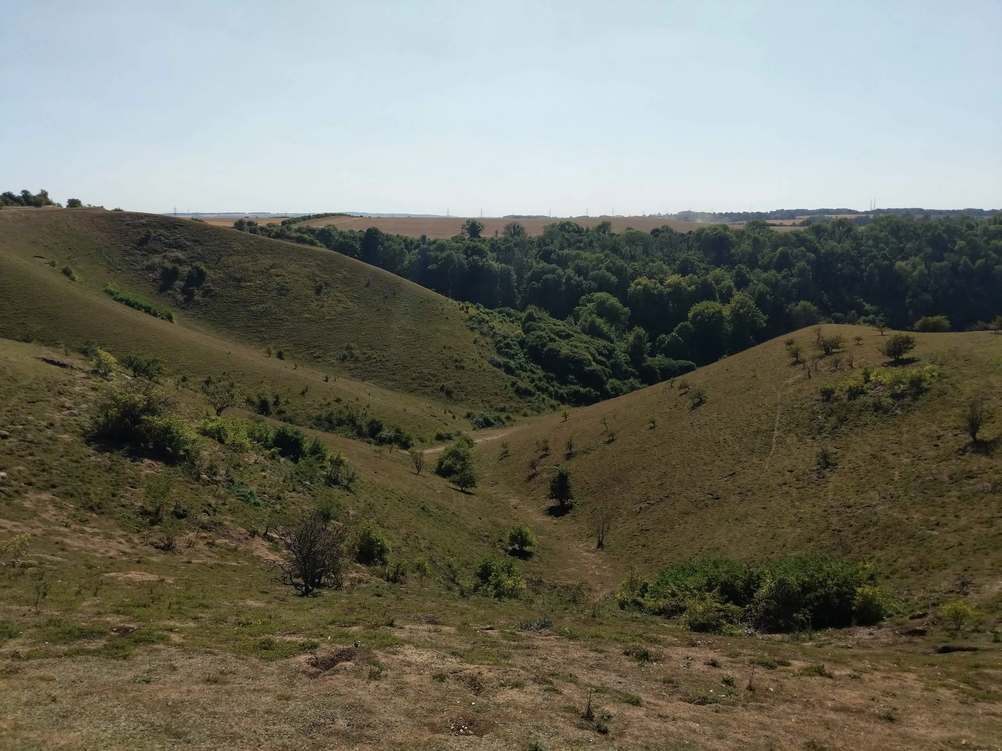 Looking down across Barton Hills. The landscape is formed from smooth,
rounded, but steep interlocking chalk hills. It looks suspiciously small, but a
sense of scale is given by the tiny trees dotted across the hills.