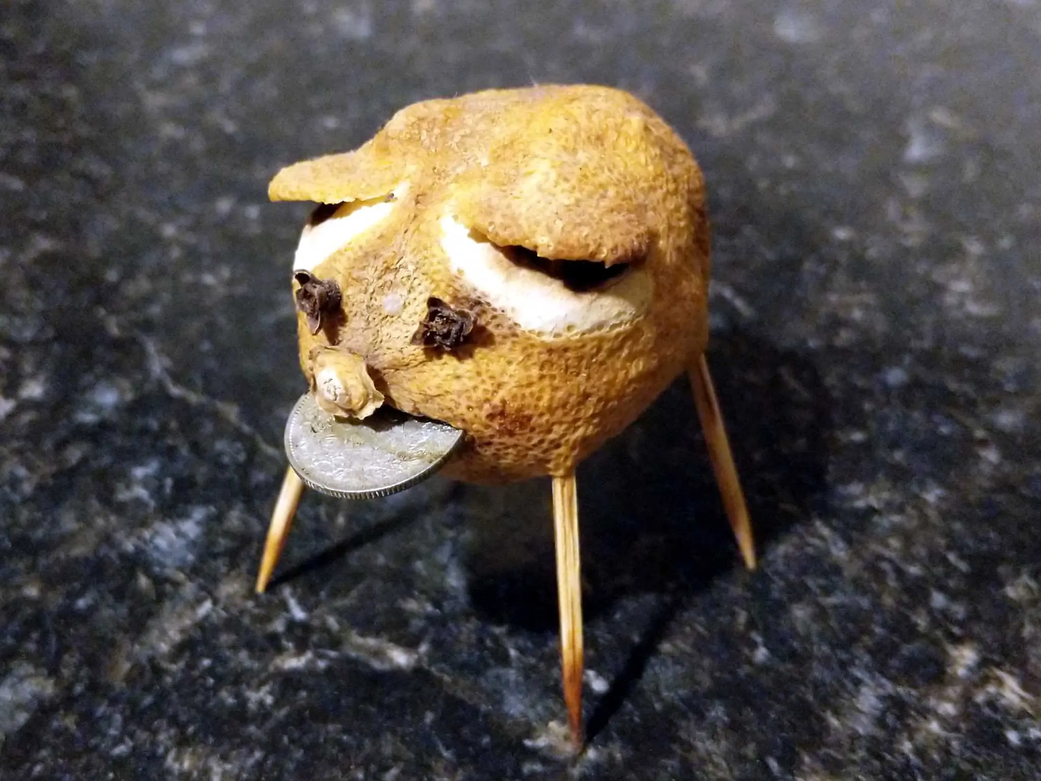 A dried out but intact lemon pig