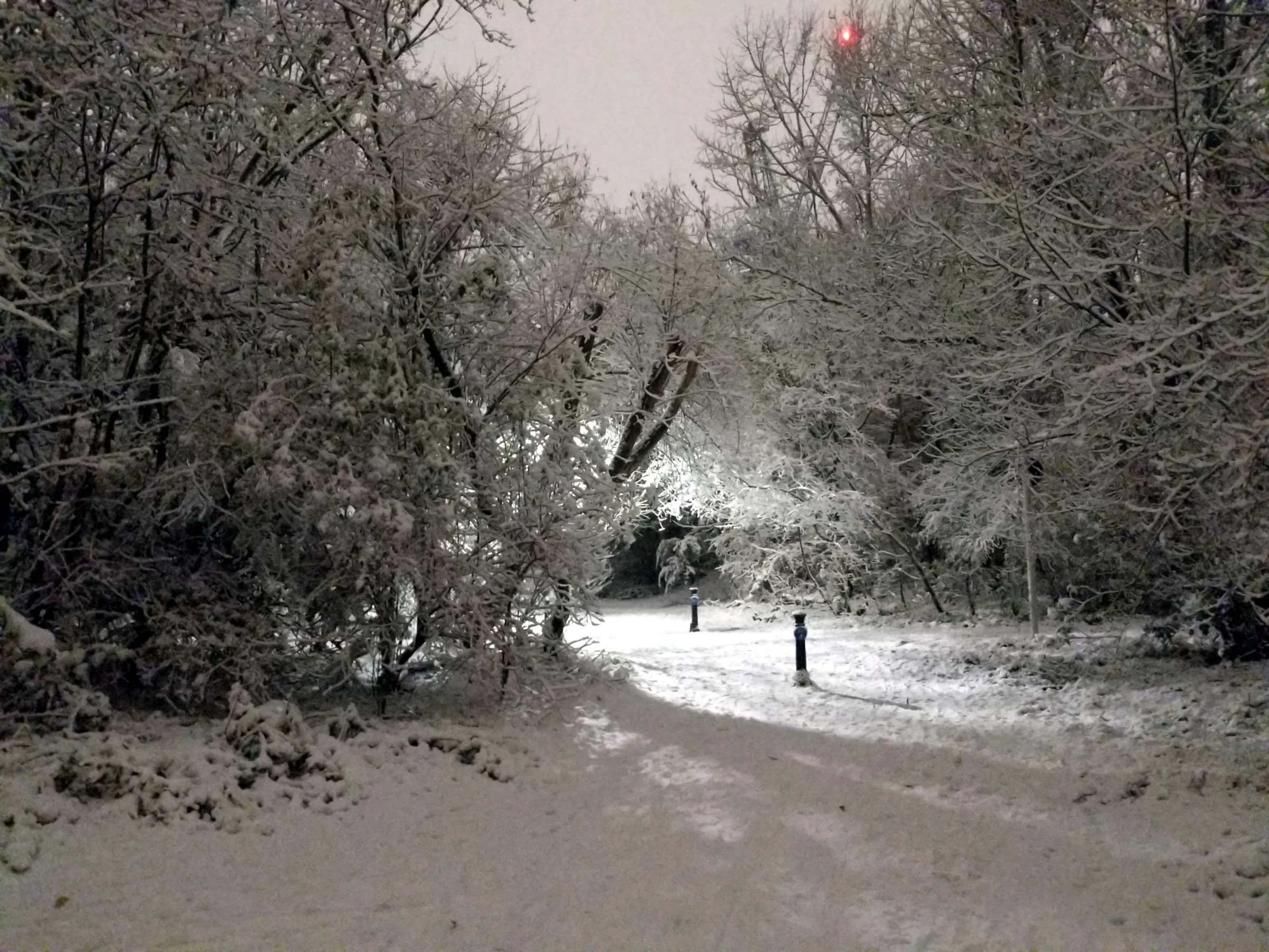 A cycle- and footpath through some trees. Everything is covered in a thick
layer of snow, and the sky is unusually light for the nighttime