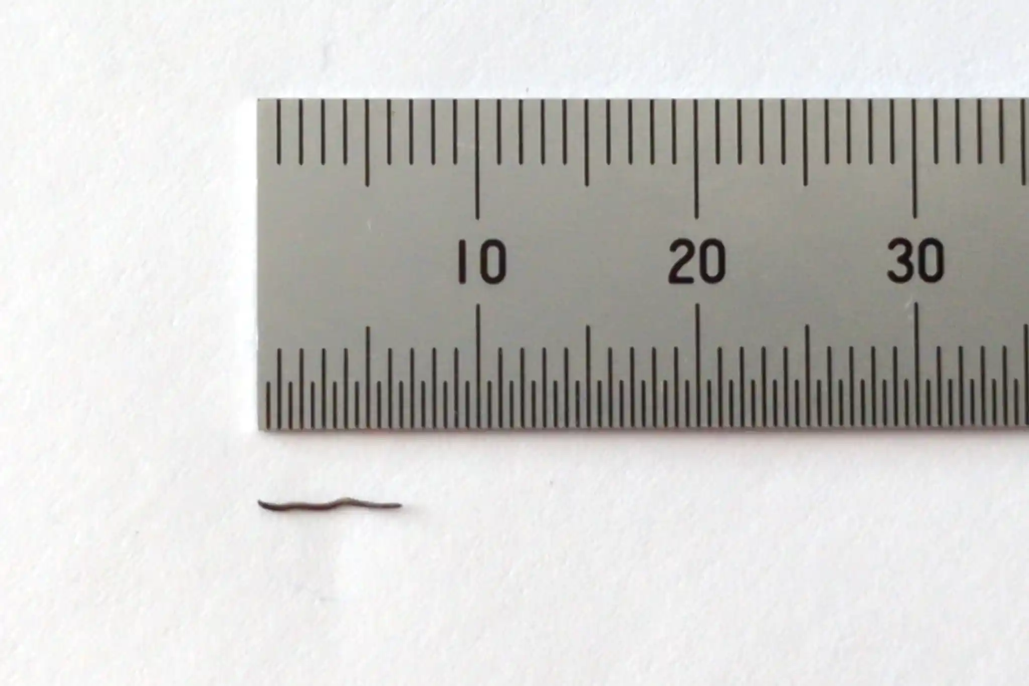 A tiny piece of wire next to a ruler like some kind of archaeological
find. It's very small, a little under 7 mm long