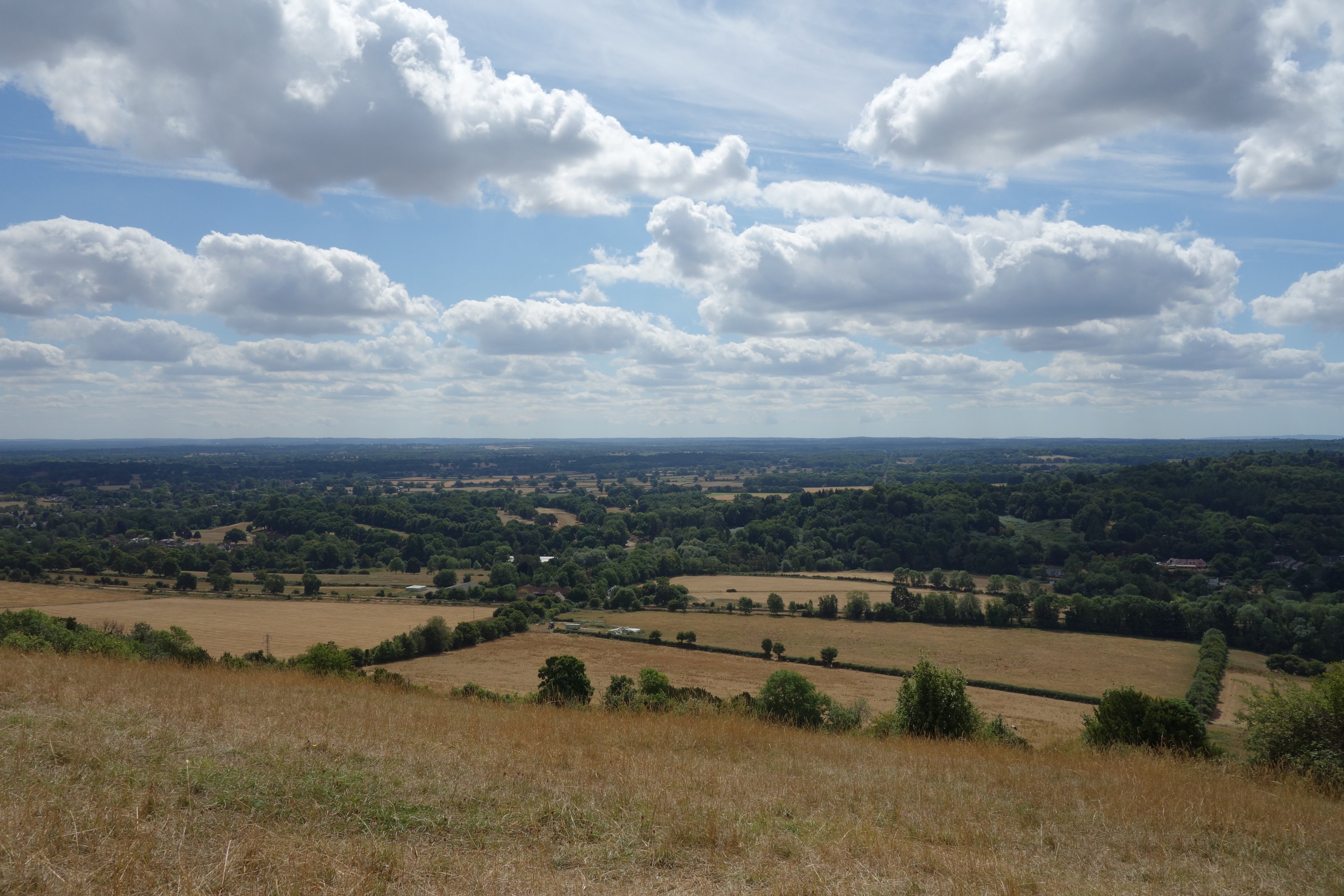 A view from Box Hill. Farm fields are visible in the middle distance, with a few cows that look the size of ants. beyond which the view is mostly trees with glimpses of fields between. The sky is blue where it isn't filled with fluffy white clouds.https://images.po-ru.com/original/box-hill-view.jpg 