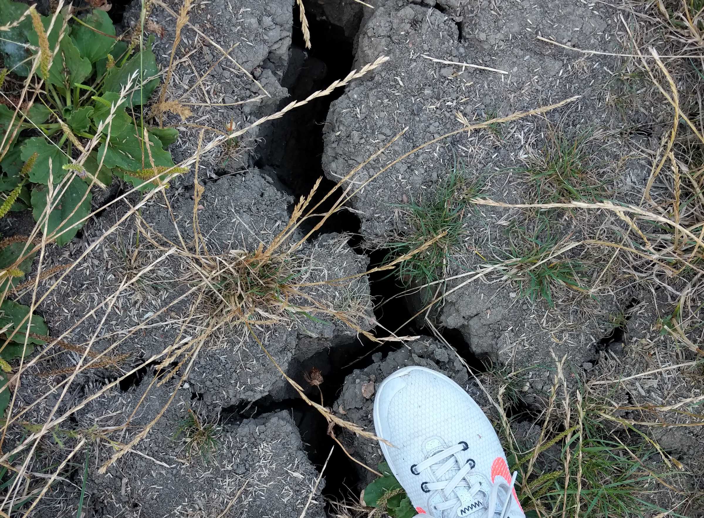 My right foot stands on top
of the earth, next to a deep dark crack that's almost as wide as my foot in
places, and many times as long.
