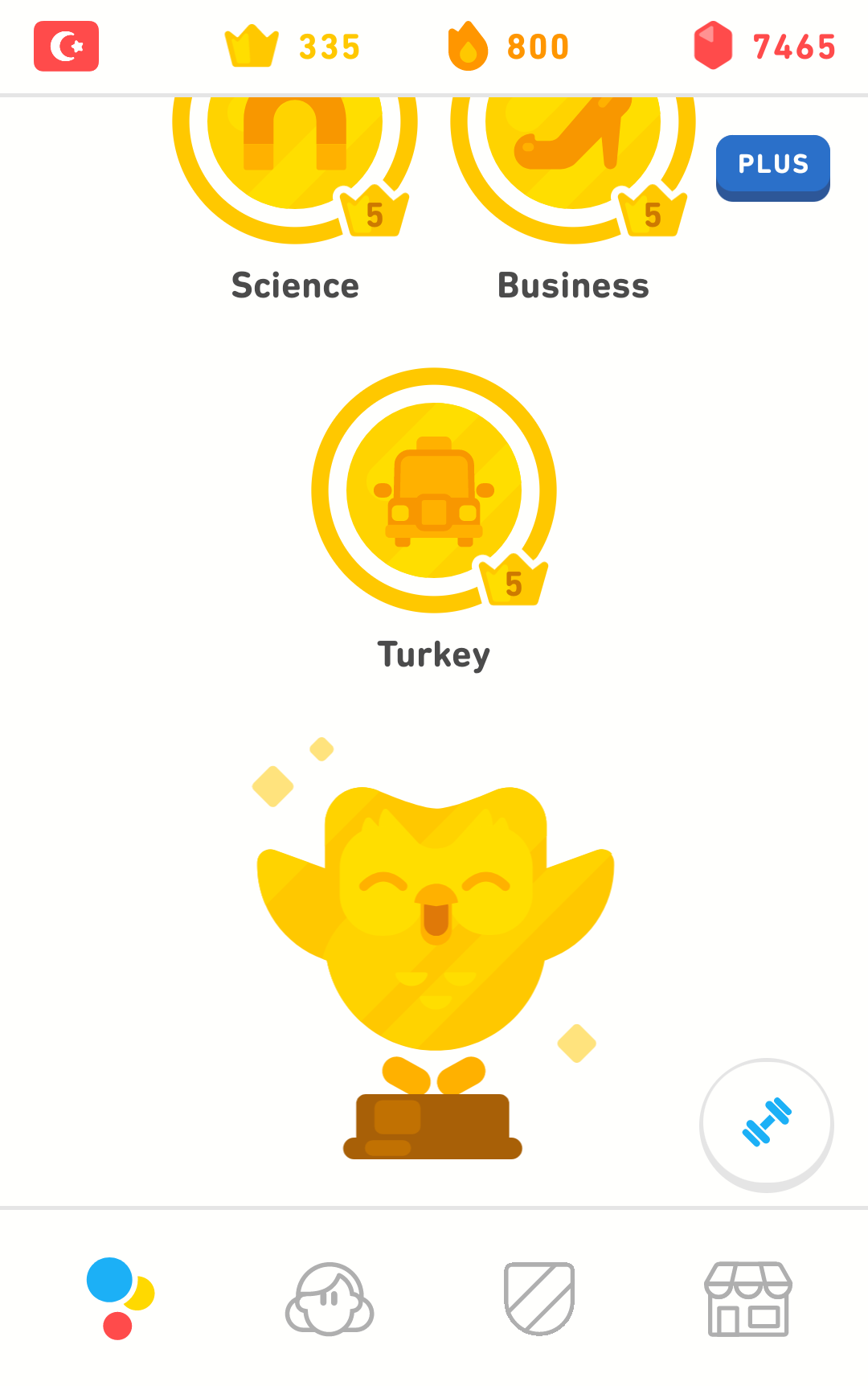 Эти стулья такие дорогие duolingo