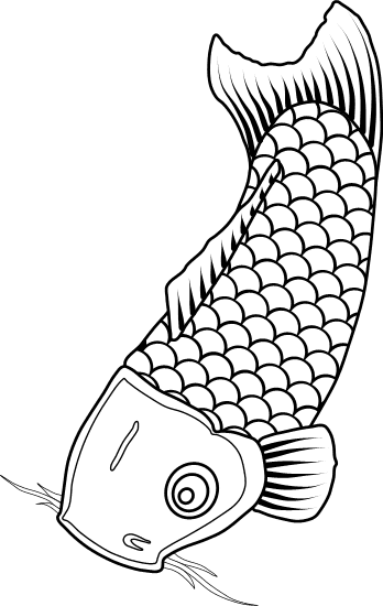 Line drawing of koi carp